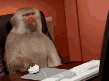 monkey moving an on-screen cursor